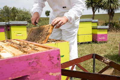 Hamilton-based SummerGlow Apiaries applauds a new Manuka Honey testing method.